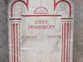 sépulture DVIGOUBSKY en Isère